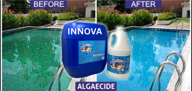 Swimming Pool Algaecide
