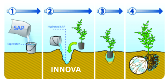 Super Absorbent Polymer for Agriculture Horticulture Landscaping Manufacturer India
